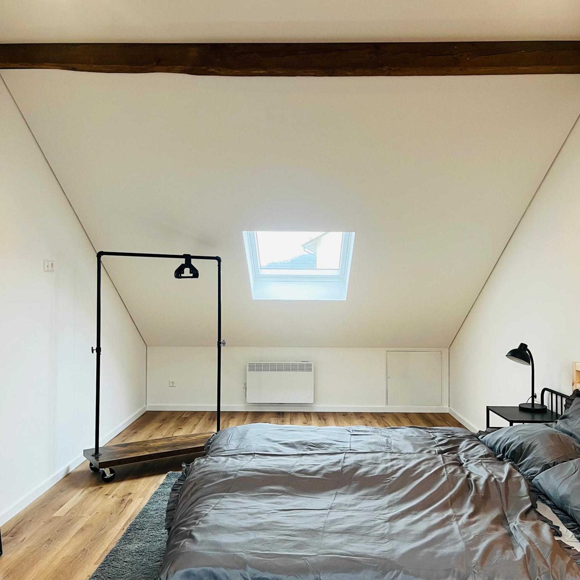 City Loft Apartment Bad Saeckingen מראה חיצוני תמונה